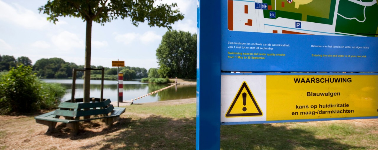 zwemwater in een recreatiegebied met een waarschuwingsbord voor blauwalg