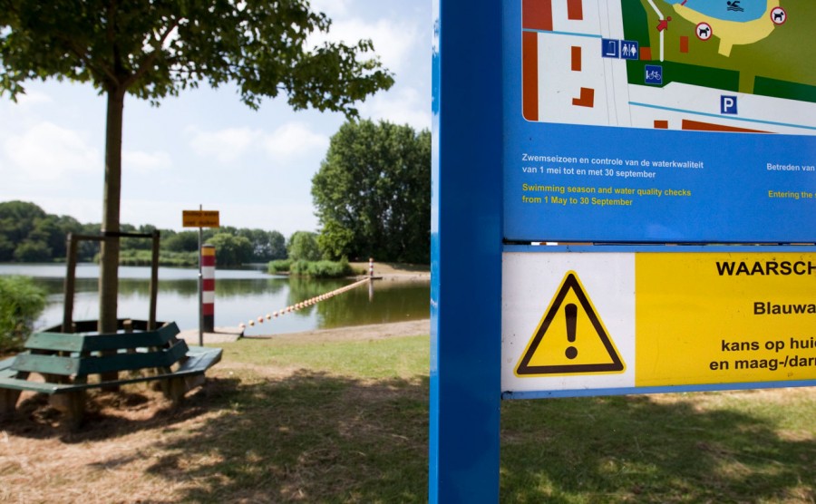 zwemwater in een recreatiegebied met een waarschuwingsbord voor blauwalg